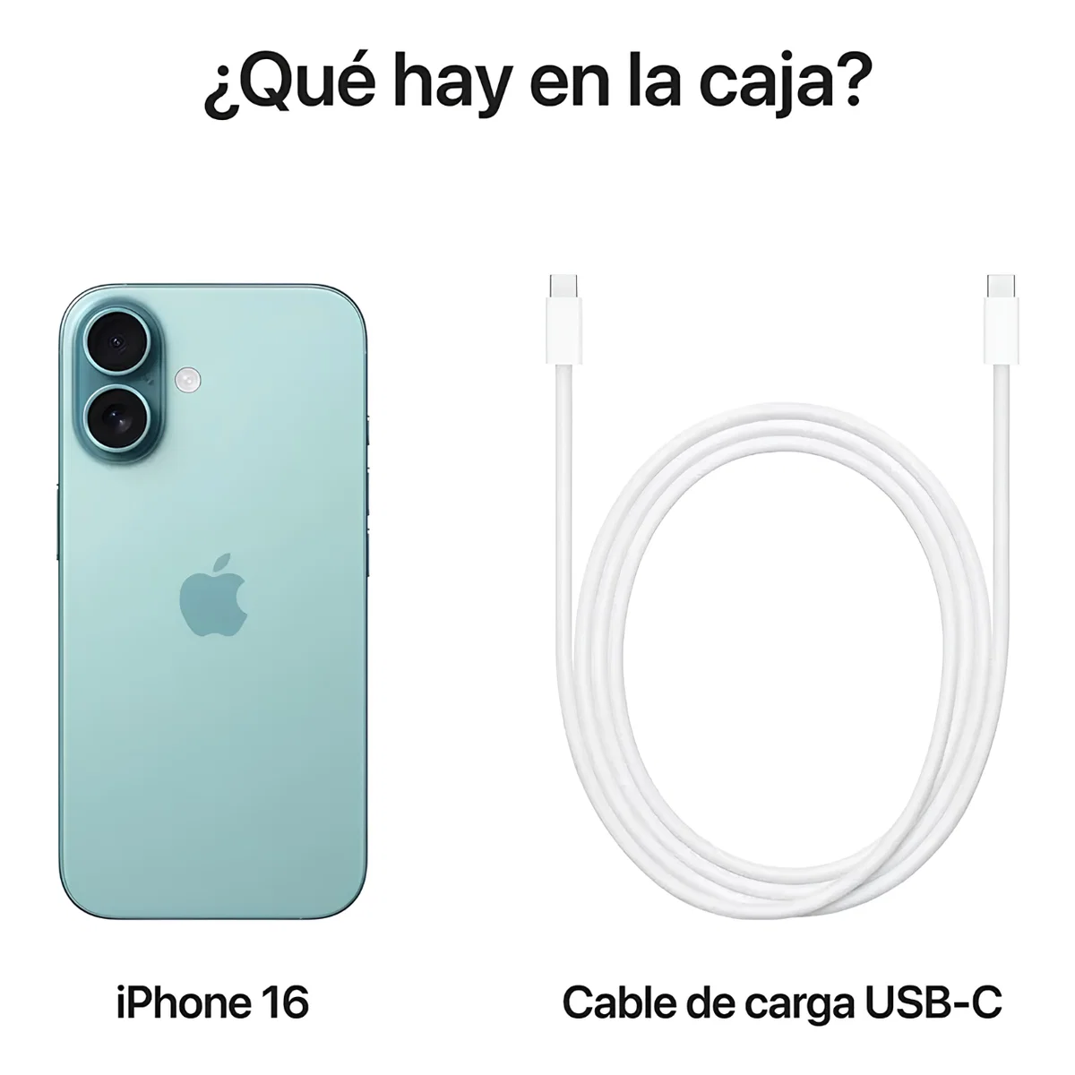 img 65123 dpku234slmpoyc53q.png img 65123 dpku234slmpoyc53q.png
